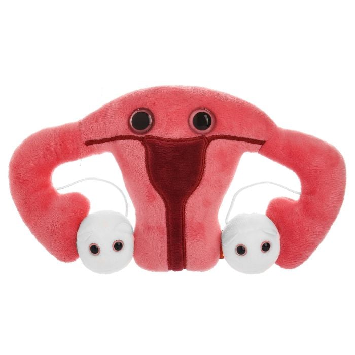 Uterus plush doll Uterus plush doll