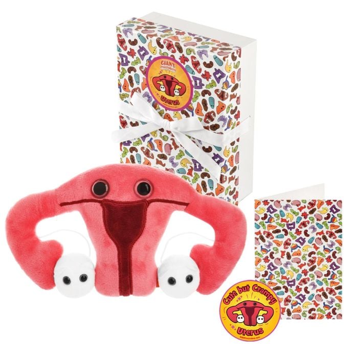 Uterus gift box main image
