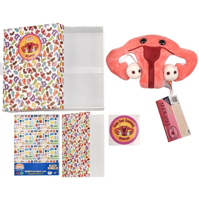 Uterus gift box all content Uterus gift box all content