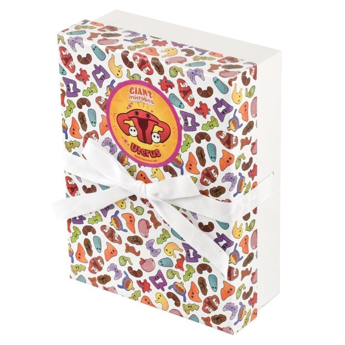 Uterus gift box angle Uterus gift box angle