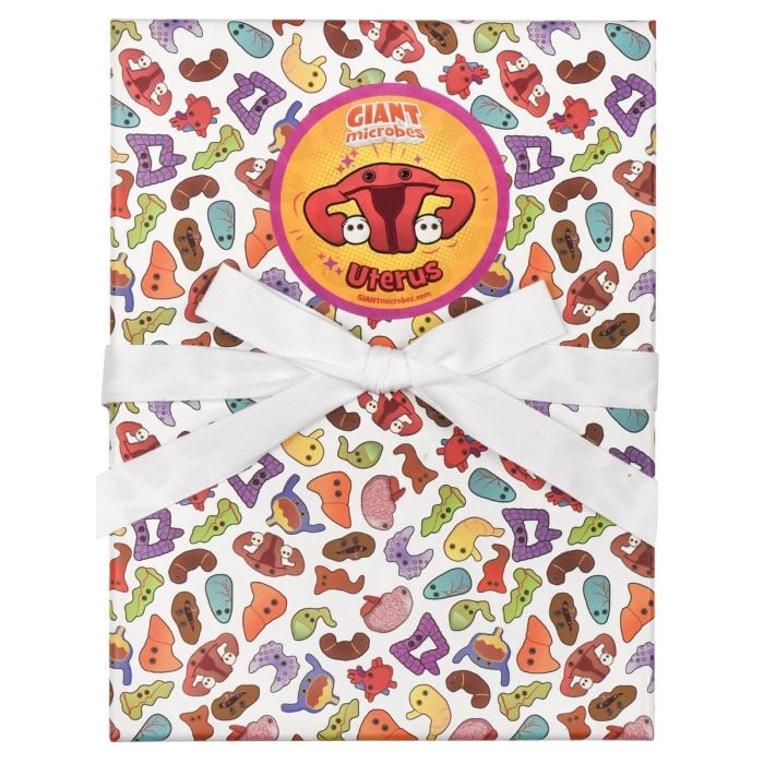 Uterus gift box closed Uterus gift box closed