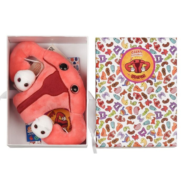 Uterus gift box open with plush Uterus gift box open with plush