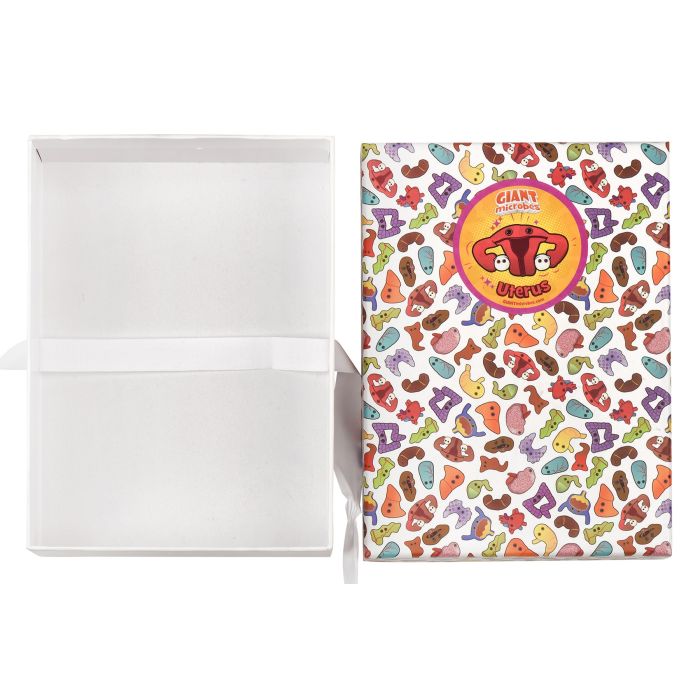 Uterus gift box open empty Uterus gift box open empty