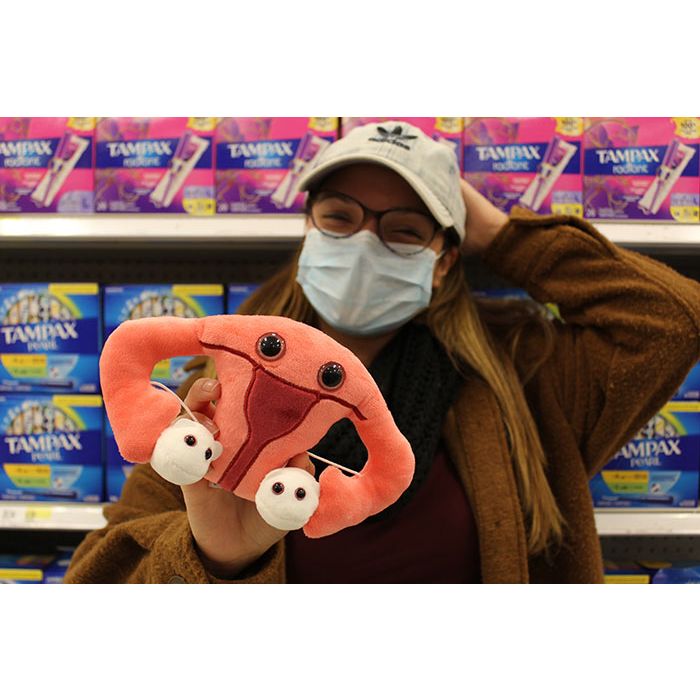 Uterus with tampons