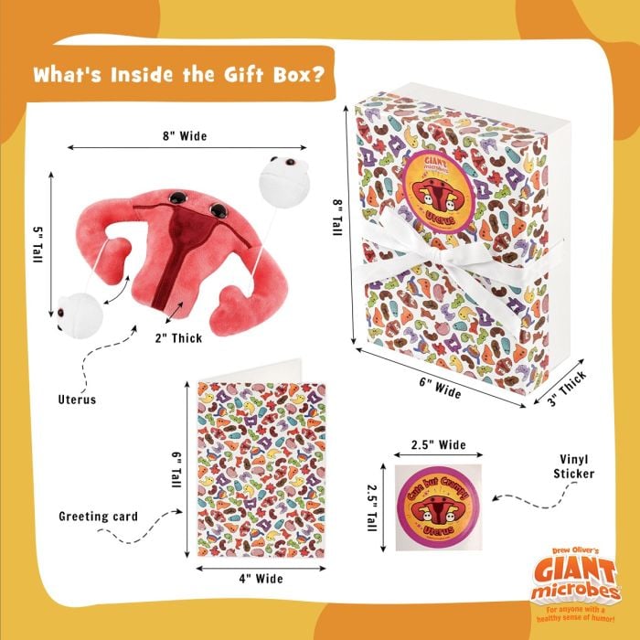 Uterus box full dimensions