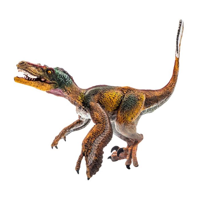 Velociraptor real dino