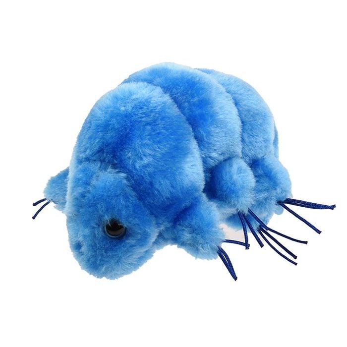 Waterbear plush doll angle