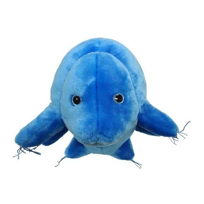 Waterbear Gigantic doll top