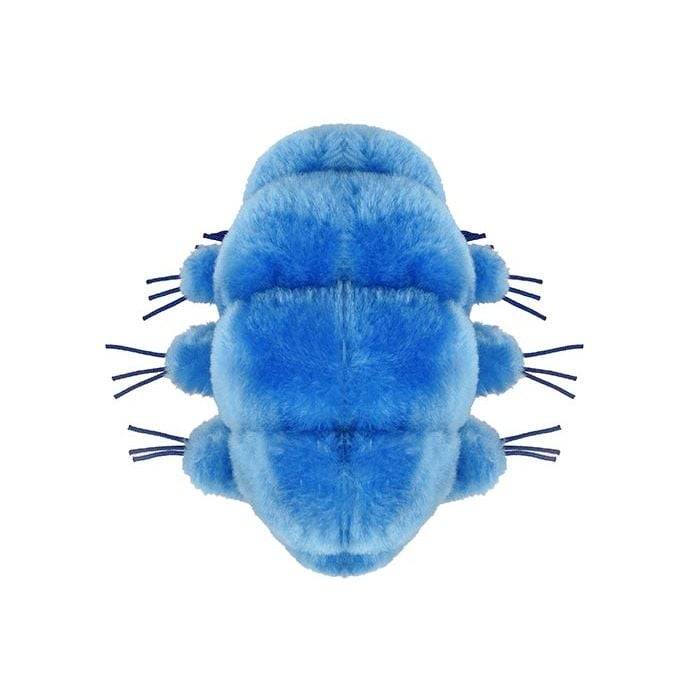 Waterbear plush doll top