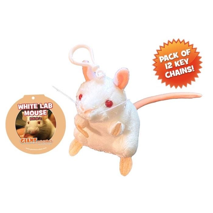 White Lab Mouse key chain 12 pack
