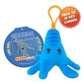 Amoeba Key Chain 12 Pack