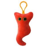 Appendix Key Chain