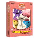 Brain Cell Key Chain 12 Pack