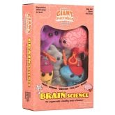 Brain Cell Key Chain 12 Pack