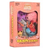 Graduation Brain Cell Key Chain 12 Pack