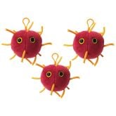 Coronavirus COVID-19 Key Chain 3-Pack