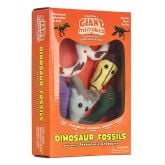 Dinosaur Fossils