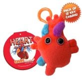 Heart Key Chain 12 Pack