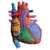 Heart Model