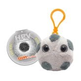 Chlamydia Key Chain