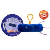 Salmonella Key Chain 12 Pack
