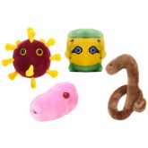 Ebola (Ebola Virus)