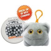 Norovirus Key Chain 12 Pack