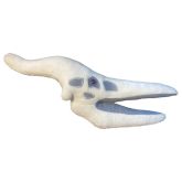 Pteranodon Skull