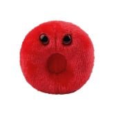 Red Blood Cell (Erythrocyte)