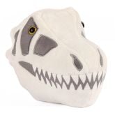 Velociraptor Skull