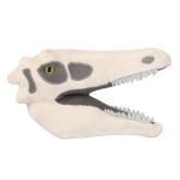 Velociraptor Skull