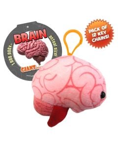 Brain Key Chain 12 Pack