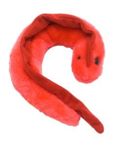 Chagas (Trypanosoma cruzi)
