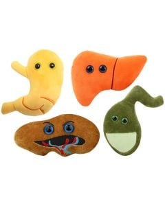 Digestion deluxe 4-pack bundle