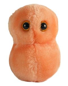 Ear Ache plush hi-res