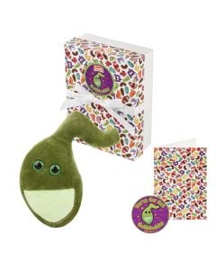 Gallbladder gift box all content