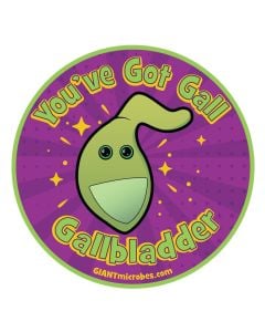 Gallbladder sticker
