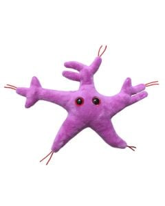 Glial Cell front