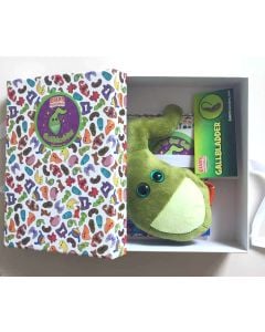 Gallbladder gift box open