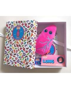 Lung gift box open
