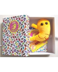 Stomach gift box open