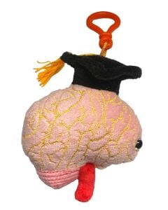 Graduation Brain Key Chain