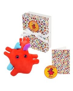 Heart gift box all content