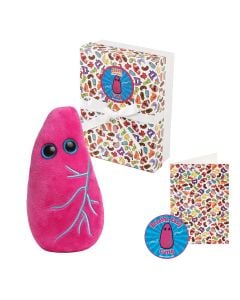 Lung gift box all content