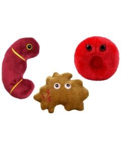 Nephrology Deluxe 3-pack bundle