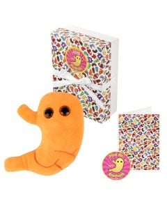 Stomach gift box all content