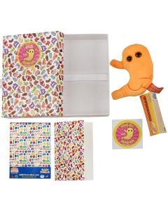 Stomach gift box all content