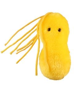 Ulcer doll