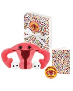 Uterus gift box all content