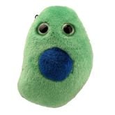 Hashimoto's Disease